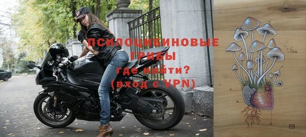 ПСИЛОЦИБИНОВЫЕ ГРИБЫ Алексеевка
