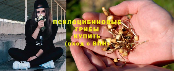 ПСИЛОЦИБИНОВЫЕ ГРИБЫ Алексеевка
