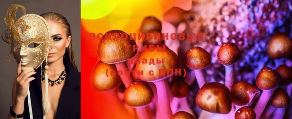 ПСИЛОЦИБИНОВЫЕ ГРИБЫ Алексеевка