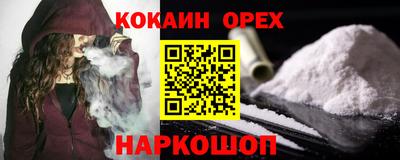 дмт Камышлов