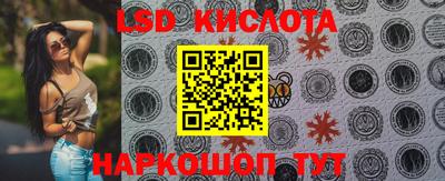 крисы Кандалакша