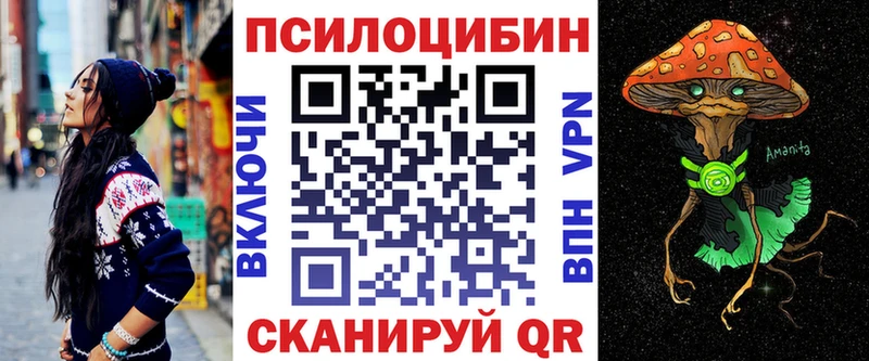 omg ссылка  где купить наркотик  Камышин  Галлюциногенные грибы GOLDEN TEACHER 
