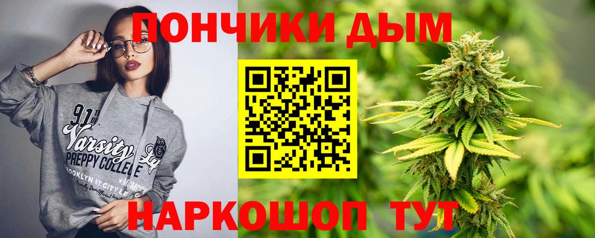 Шишки марихуана сатива Камышин